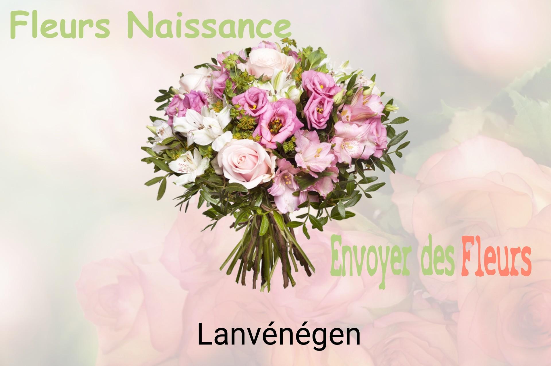 Bouquet de fleurs de naissance livré à Lanvénégen